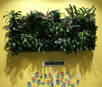 A living plant wall. The brick is painted bright yellow and there are hand coloured paper flowers below.